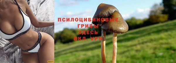 мдпв Ветлуга