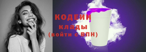 ПСИЛОЦИБИНОВЫЕ ГРИБЫ Осинники